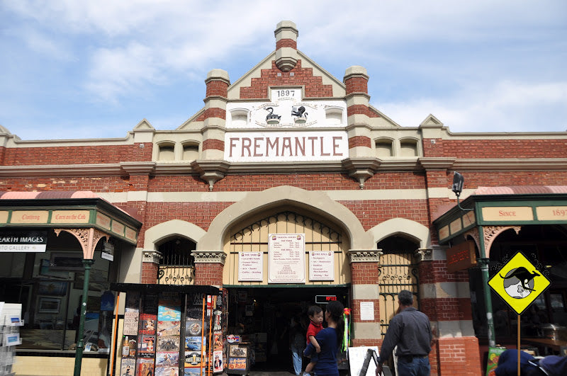 Mandurah Dolphins, Chocolate & Fremantle Tour