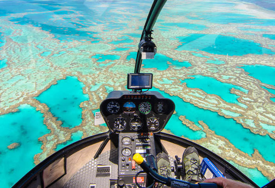 Inner Reef Explorer