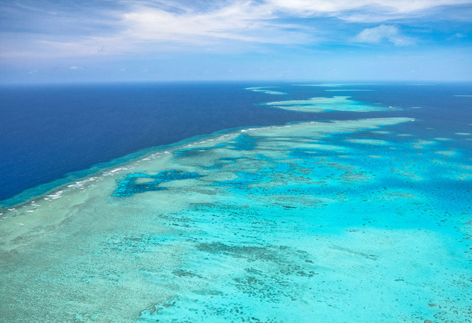 Inner Reef Explorer
