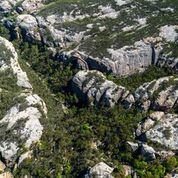 White Mountains National Park & Porcupine Gorge Scenic Flight