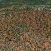 White Mountains National Park & Porcupine Gorge Scenic Flight