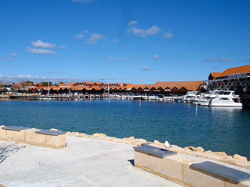 Hillarys Marina, Beach & Birds Tour