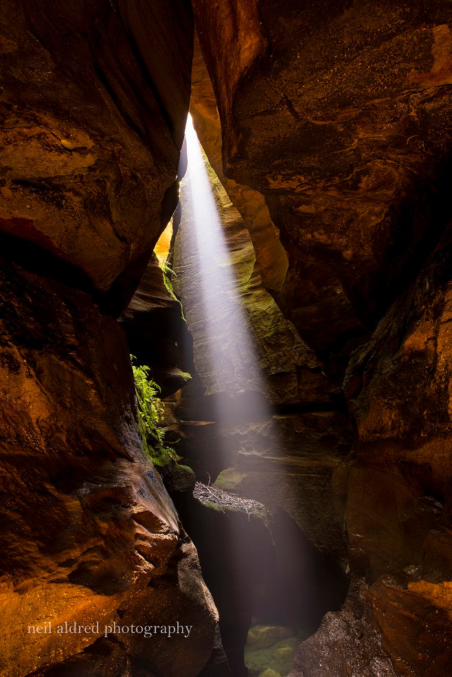 Whungee Whengee Canyon - Blue Mountains
