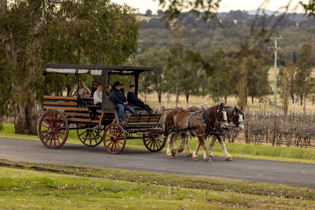 Harvest The Hunter Wine And Produce Tour