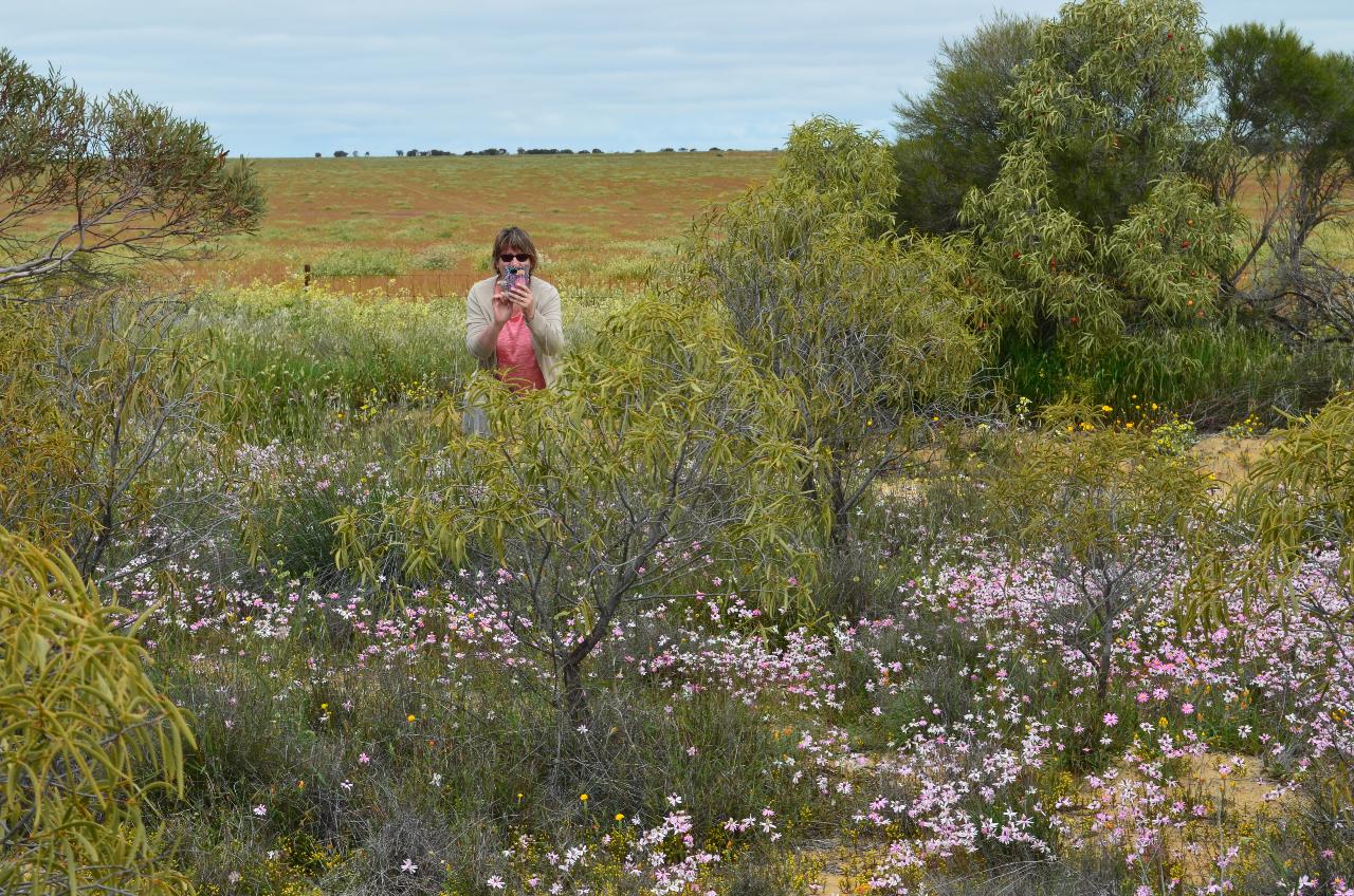 Southern Wheatbelt Wander Two Nights & Three Days