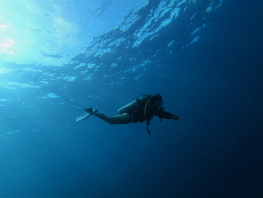 Ssi Master Diver Program