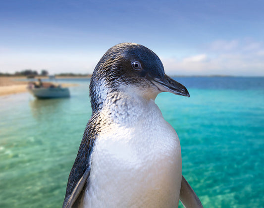 Mandurah Canal Cruise & Caversham Wild Life Park