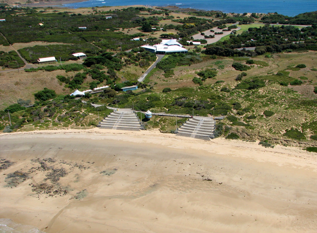 Scenic Flight 3 - Seal Rocks, Penguins & The Gp Circuit