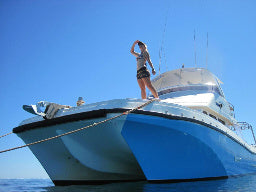 Deluxe Whaleshark Swim Tour Aboard Mv Jazz 2