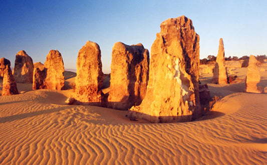 Pinnacles, Swan Valley Wildlife Park & Lancelin