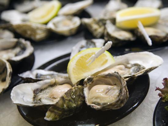 Champagne And Seafood Brunch Cruise