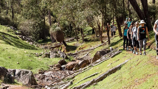 Quenda At Paruna Guided Hike - 6.5 Km & 3 Hrs