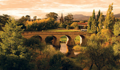 Richmond And Wine Tour
