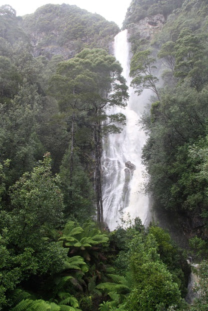 Takayna & Tarkine Wilderness Highlights - Lutruwita Tasmania - 5 Days