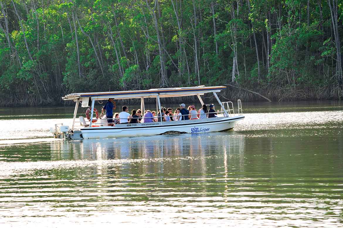 Culture Beach Tour, Daintree Rainforest & Daintree River Cruise