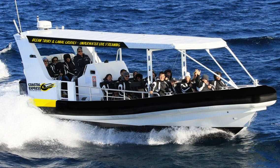 Coastal Express 2Hr Mooloolaba Whale Watching Experience