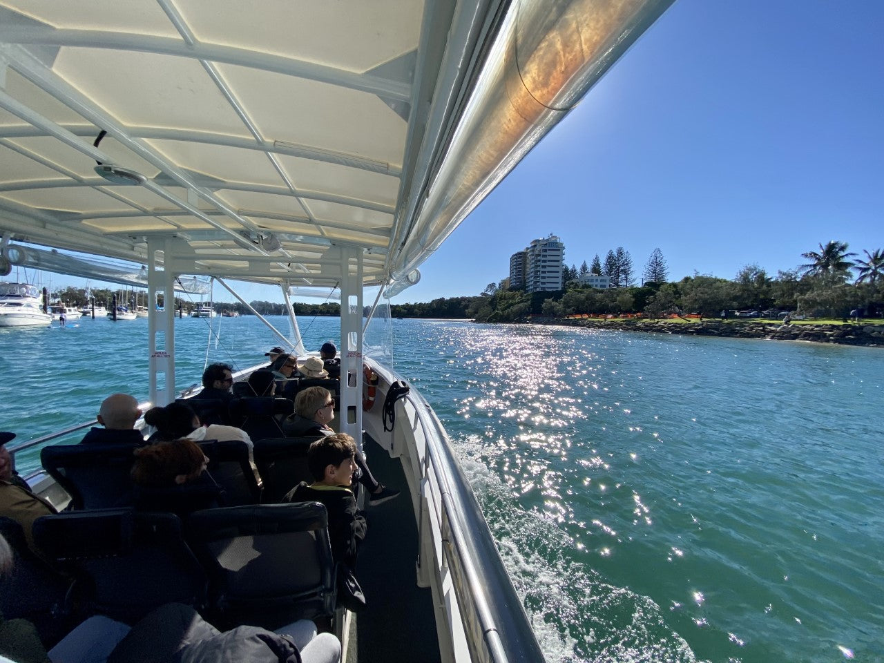 Coastal Express 2Hr Mooloolaba Whale Watching Experience