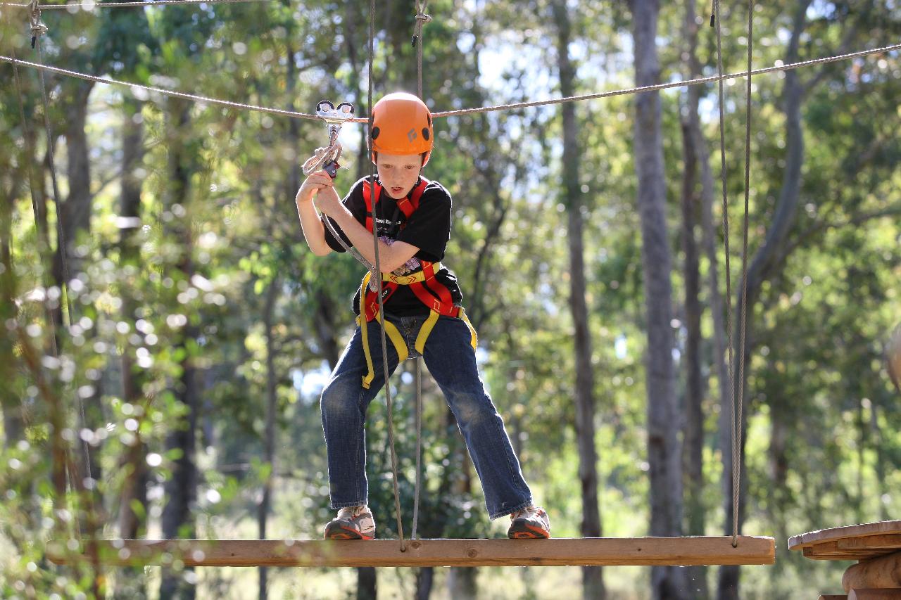 Tree Ropes Course