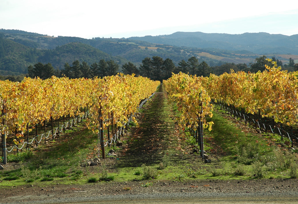 Swan Valley, Wildlife Park, Winery & Fruit Orchard