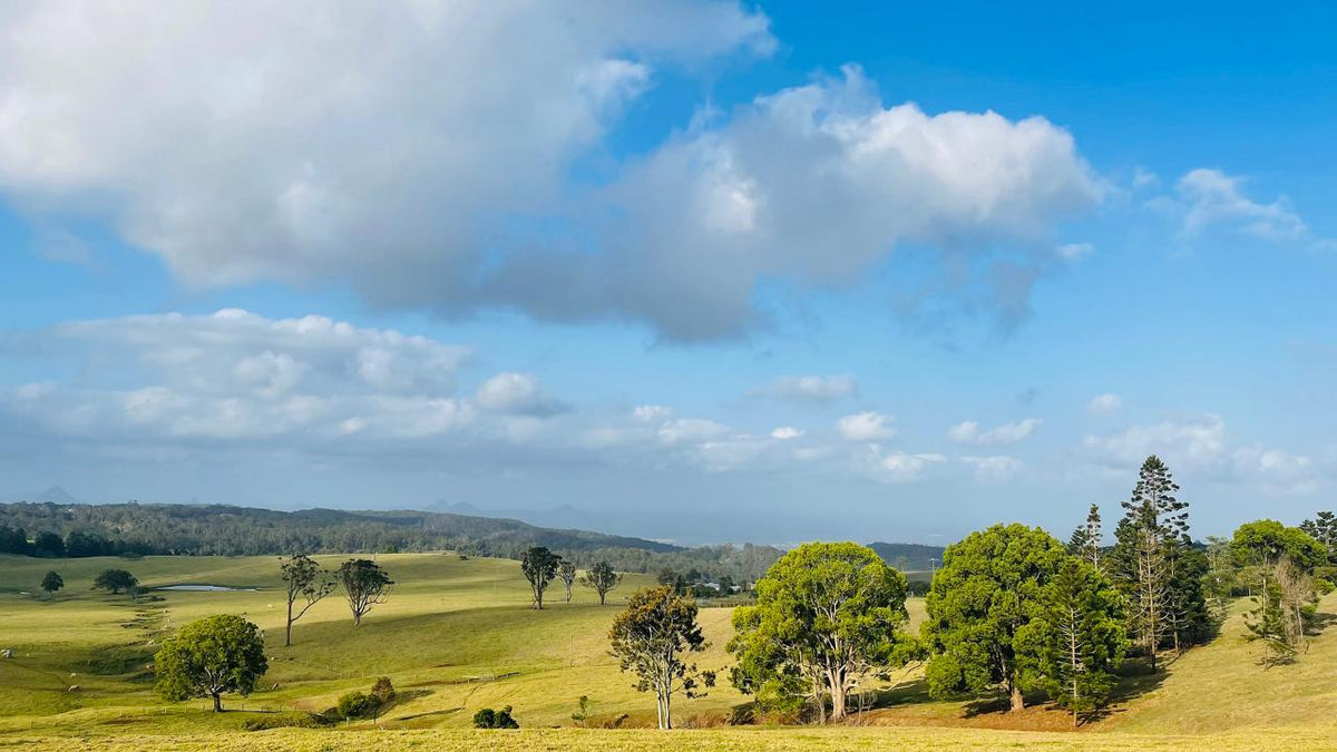 Mount Glorious To Mount Mee Tour