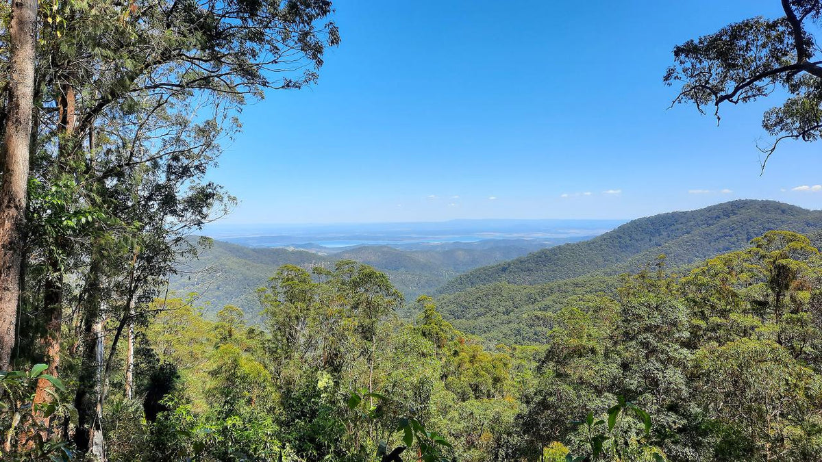 Mount Glorious To Mount Mee Tour