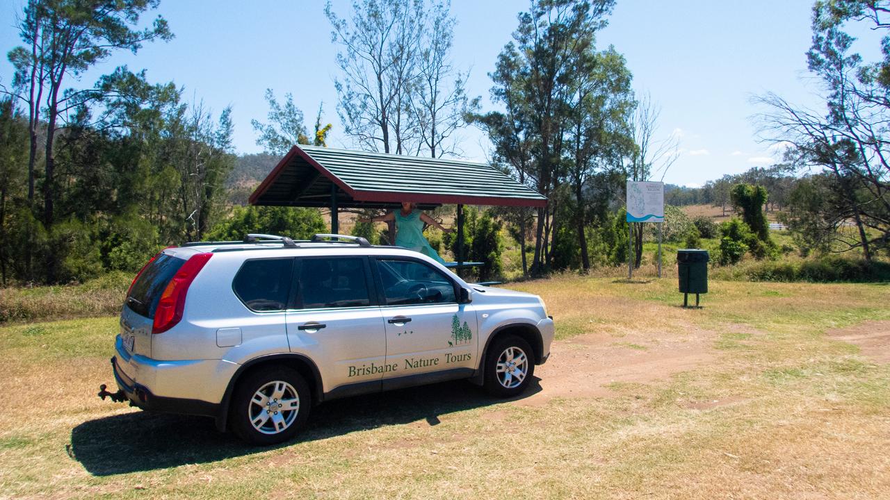 Mount Glorious To Mount Mee Tour