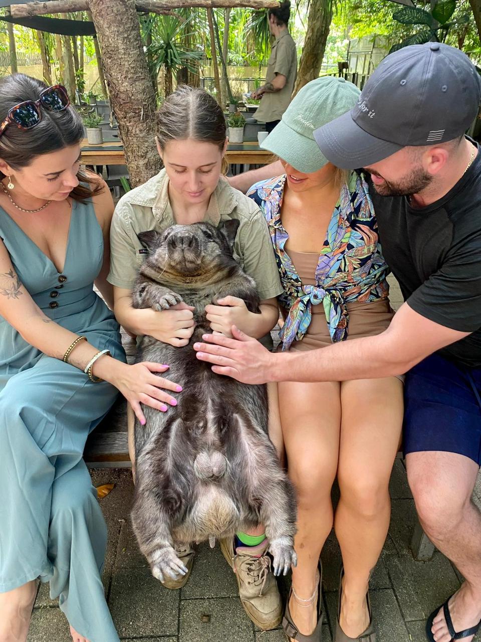 Wildlife Park Tour